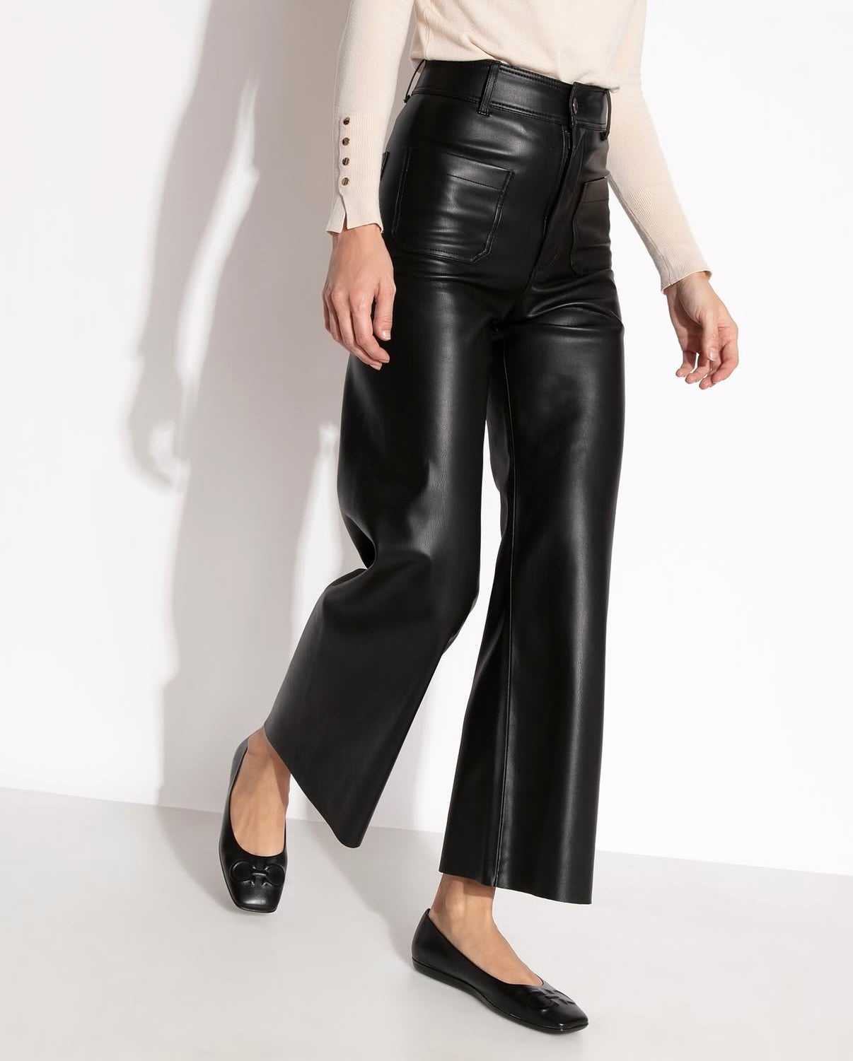 0541 Salvadore Ferragamo բալետկա կոշիկ