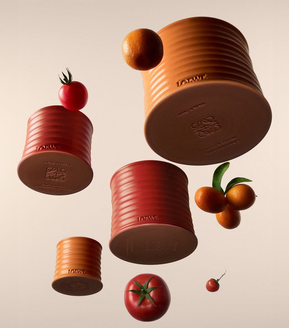 1469 LOEWE հոտավետ մոմ