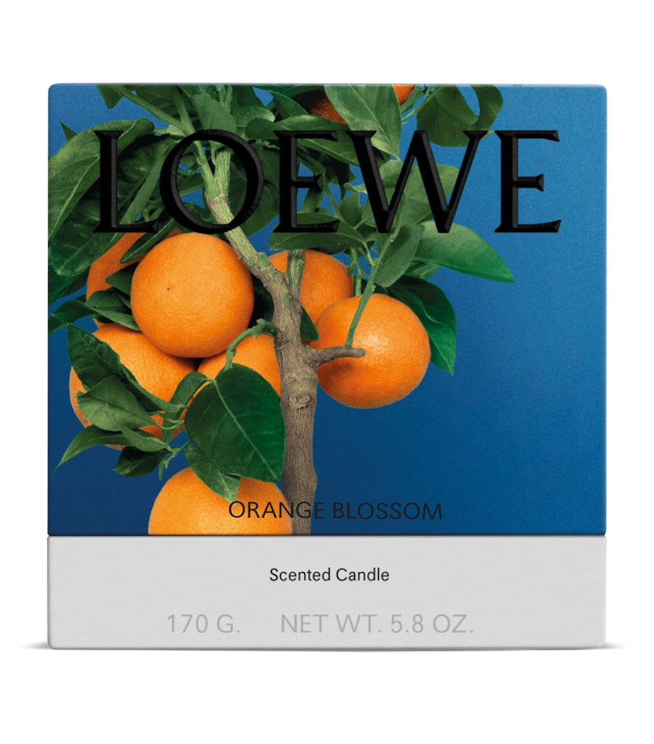 1469 LOEWE հոտավետ մոմ