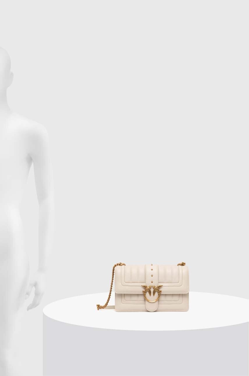 0772 Pinko պայուսակ