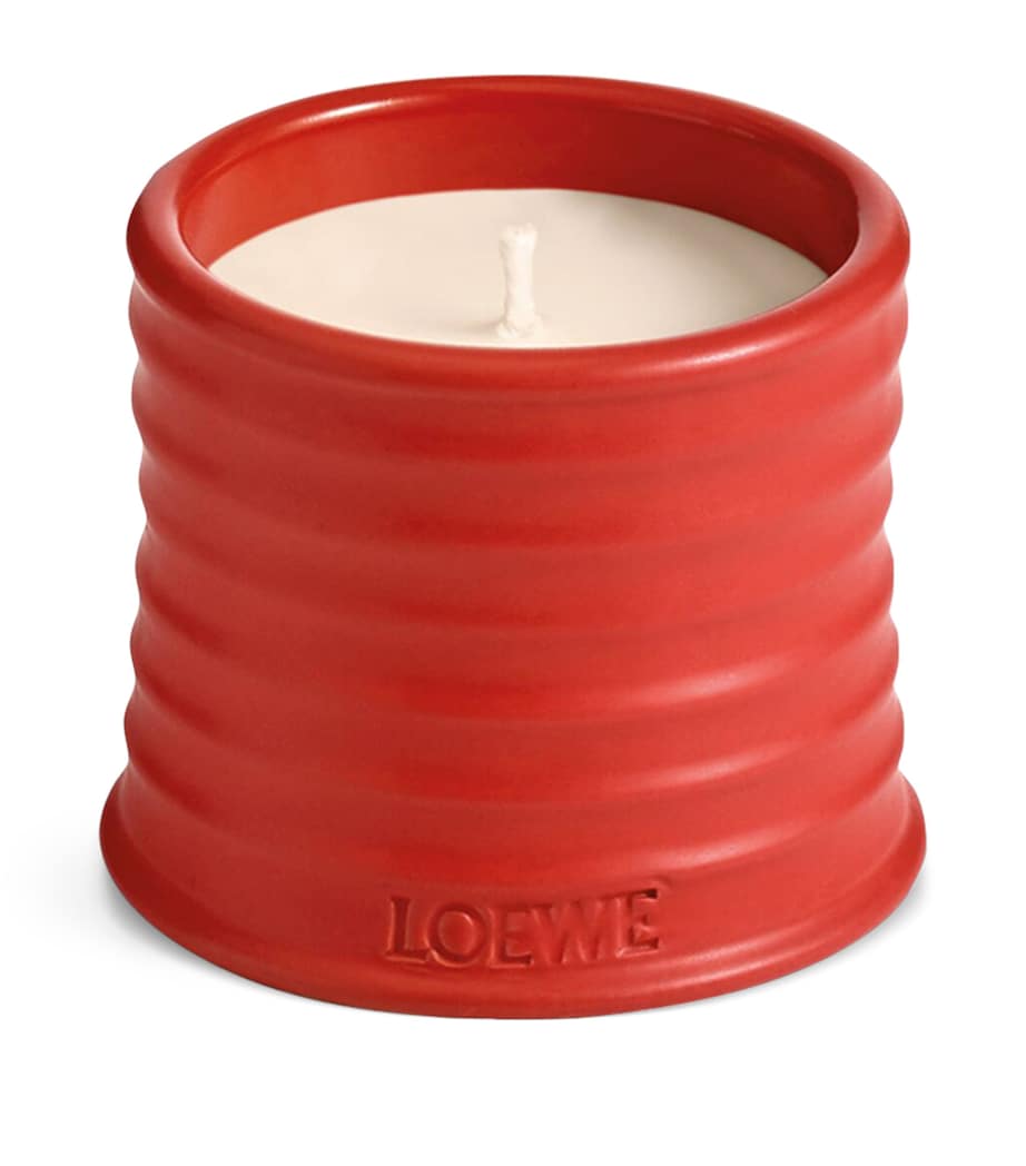 1469 LOEWE հոտավետ մոմ
